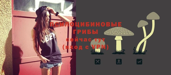 ешки Бугульма