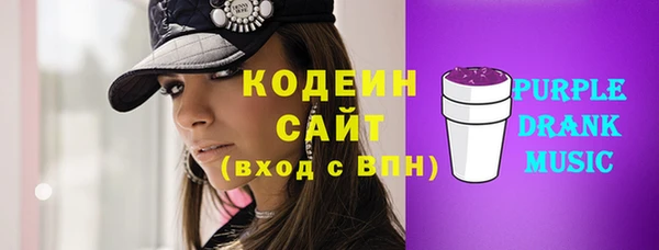 таблы Бородино