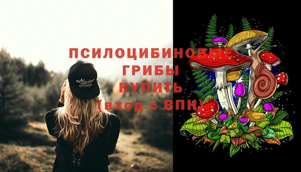 a pvp Бронницы