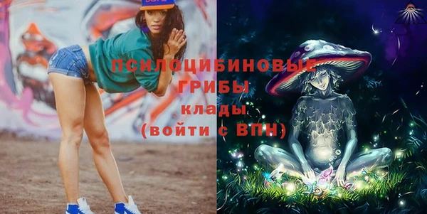 таблы Бородино