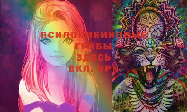 таблы Бородино