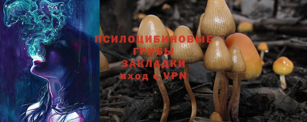 таблы Бородино