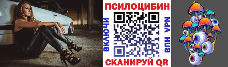 ссылка на мегу ссылки  Бердск  Галлюциногенные грибы Psilocybine cubensis  сколько стоит 